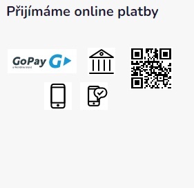 Přijímáme online platby
