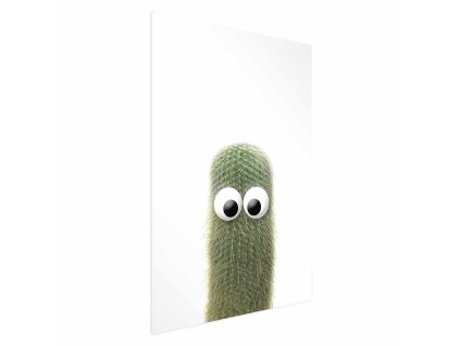 Plakát - Prickly Friend