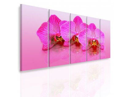 Vícedílný obraz - Růžové orchideje (Velikost 150x70 cm)