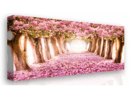 Obraz na plátně - kvetoucí stromy (Velikost 150x100 cm)