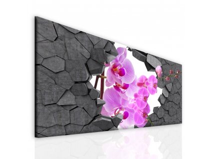 Obraz orchidej ve zdi (Velikost 100x50 cm)
