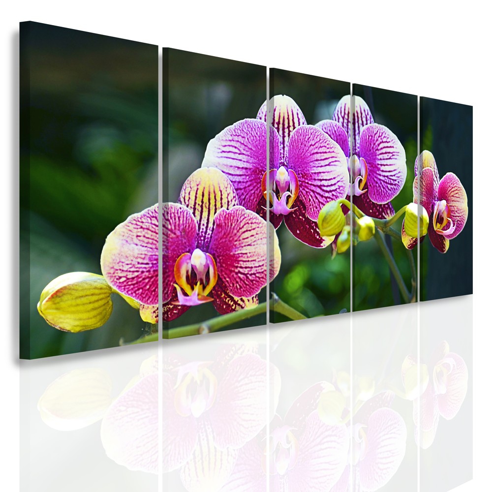 Vícedílný obraz - Divoká orchidej Velikost: 150x70 cm