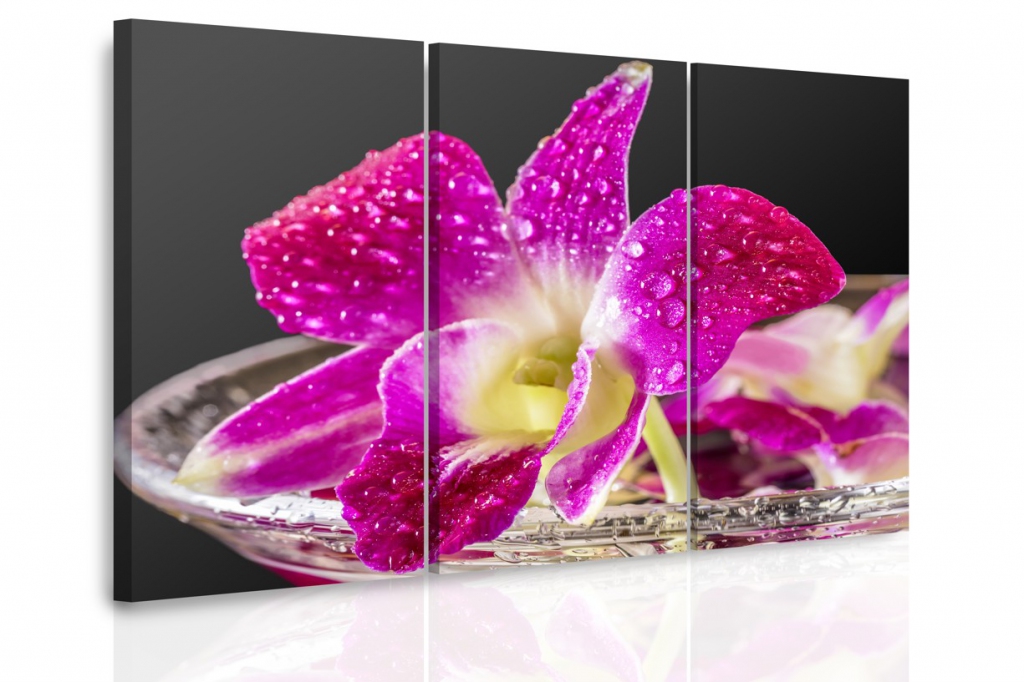 Vícedílný obraz - Fialová orchidej Velikost: 90x60 cm