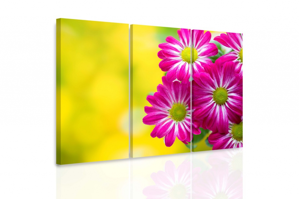 Vícedílný obraz - Chryzantémy Velikost: 90x60 cm