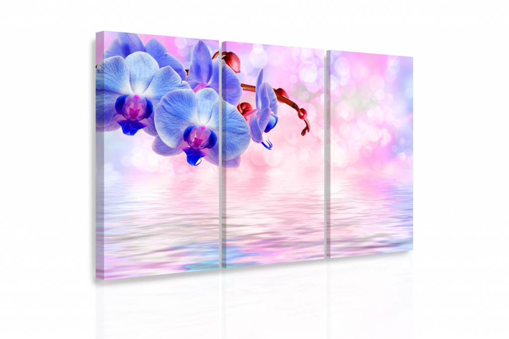 Vícedílný obraz - Modrá orchidej Velikost: 150x100 cm