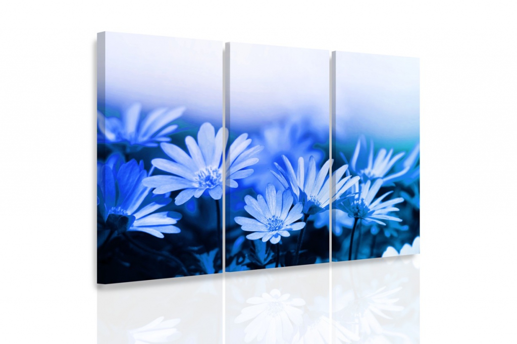Vícedílný obraz - Modré kopretiny Velikost: 150x100 cm