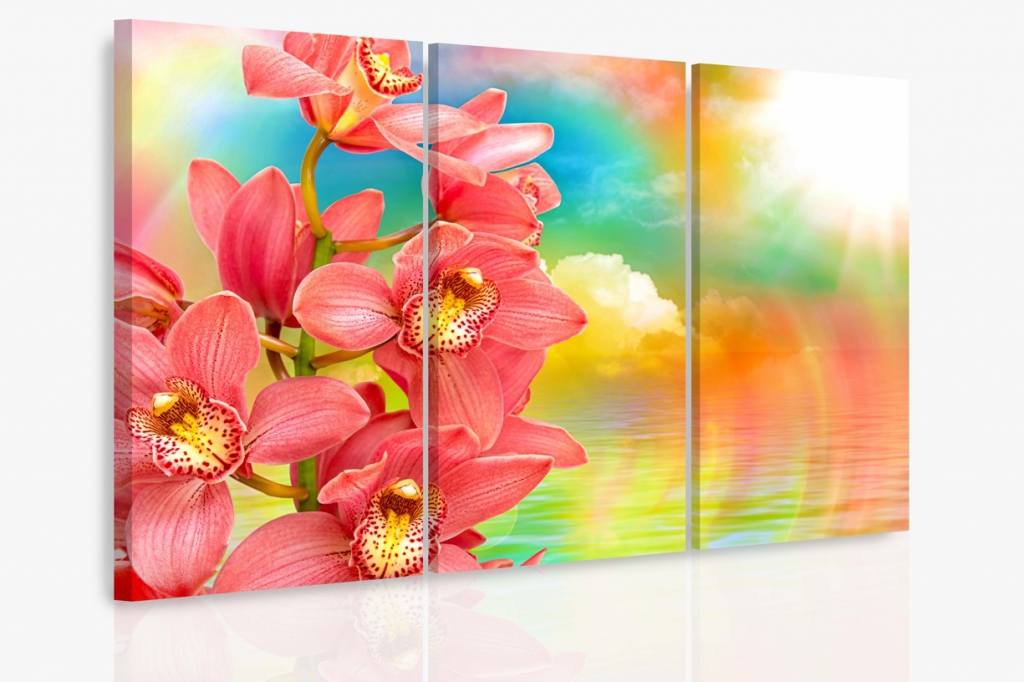 Vícedílný obraz - Orchidej a duha Velikost: 120x80 cm