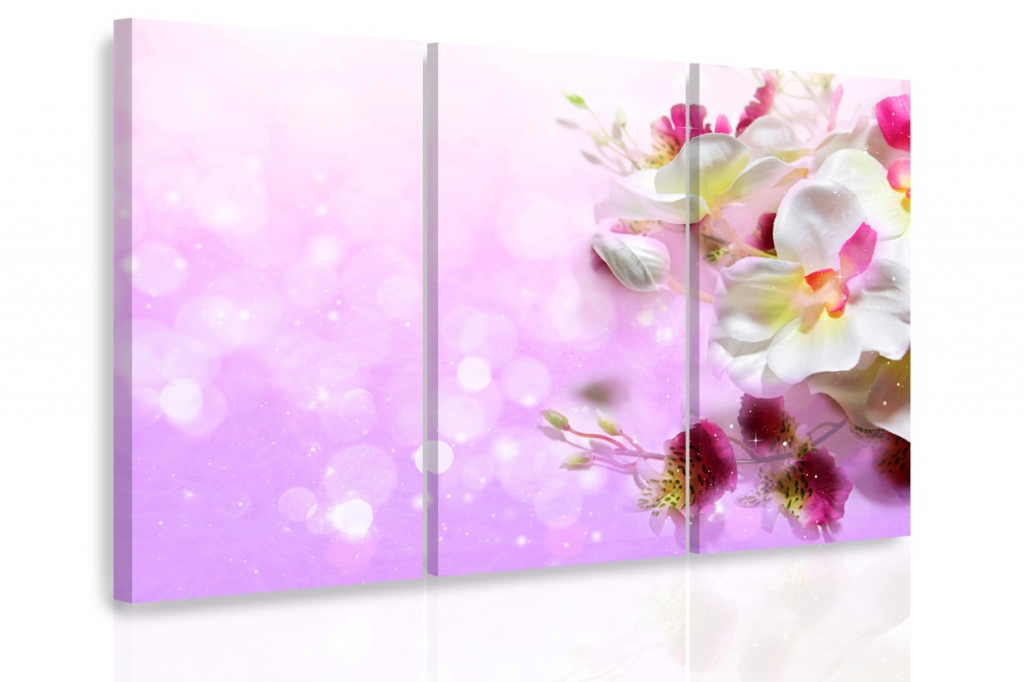 Vícedílný obraz - Orchidej fantazie Velikost: 90x60 cm