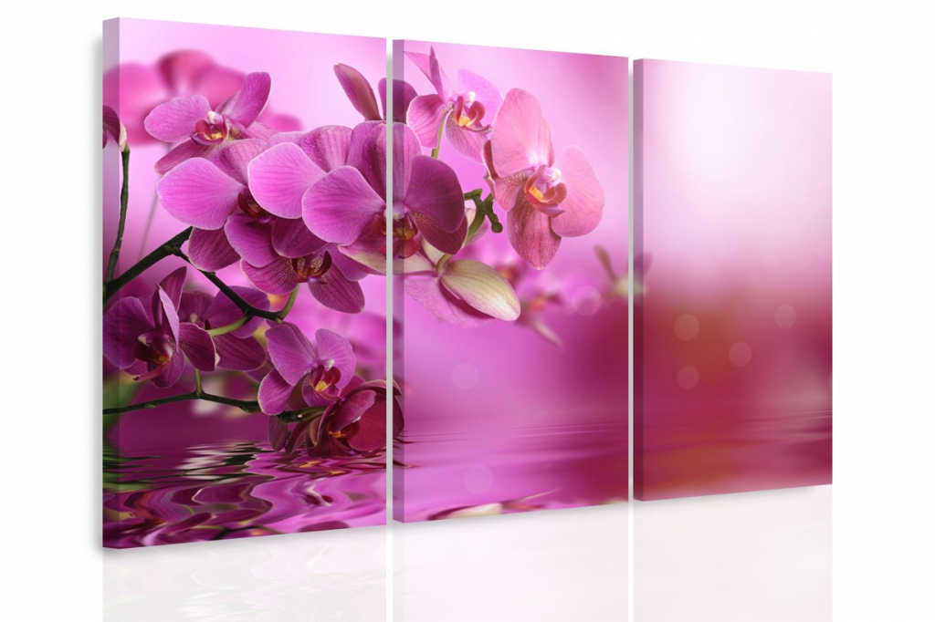Vícedílný obraz - Orchidej na hladině Velikost: 150x100 cm