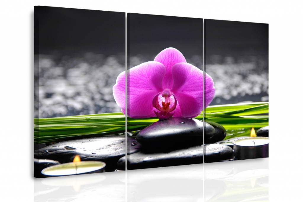 Vícedílný obraz - Orchidej při svíčkách Velikost: 120x80 cm