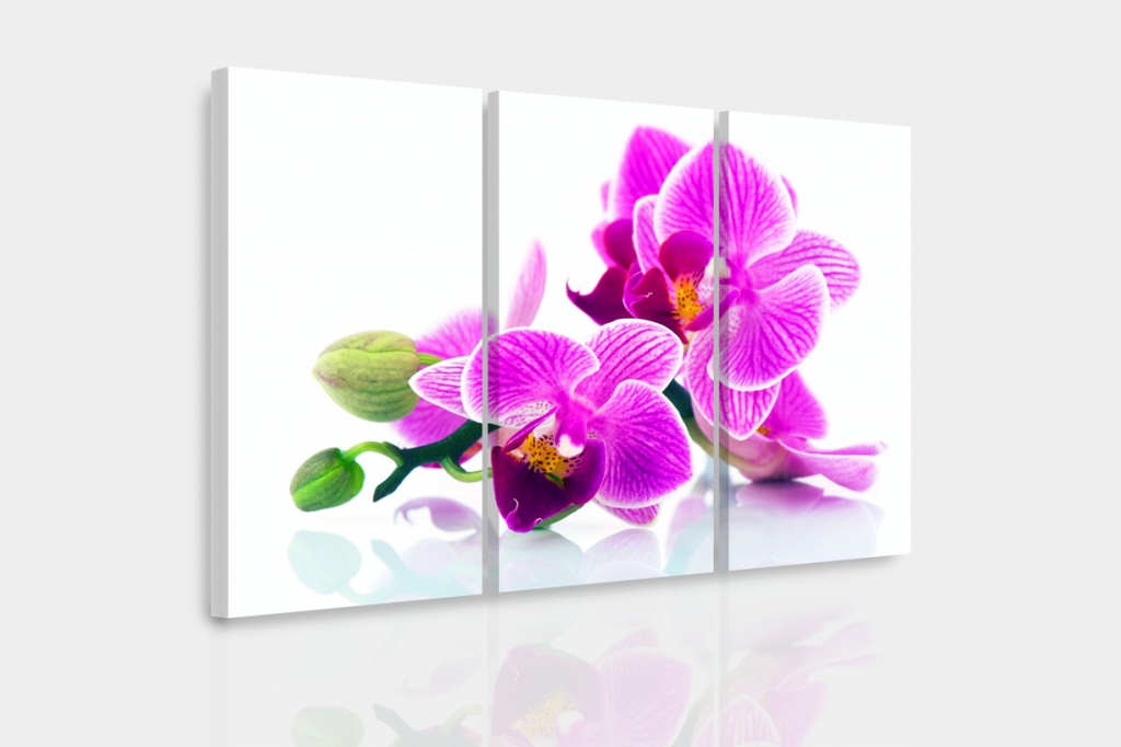 Vícedílný obraz - Orchidej v prostoru Velikost: 90x60 cm