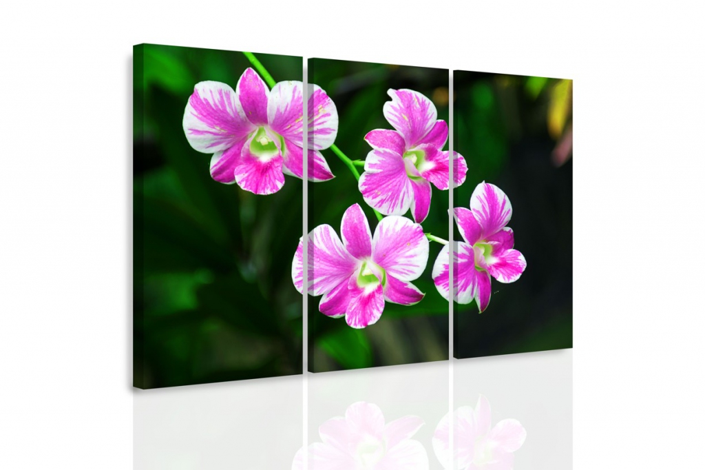 Vícedílný obraz - Orchidej v přírodě Velikost: 90x60 cm
