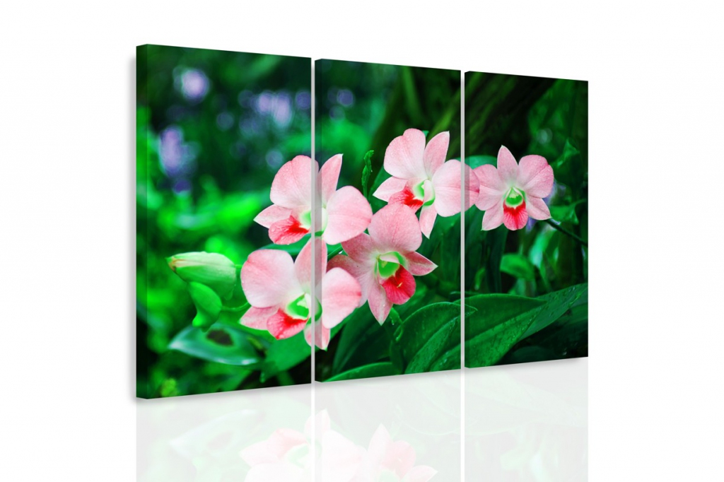 Vícedílný obraz - Orchidej v přírodě II. Velikost: 120x80 cm
