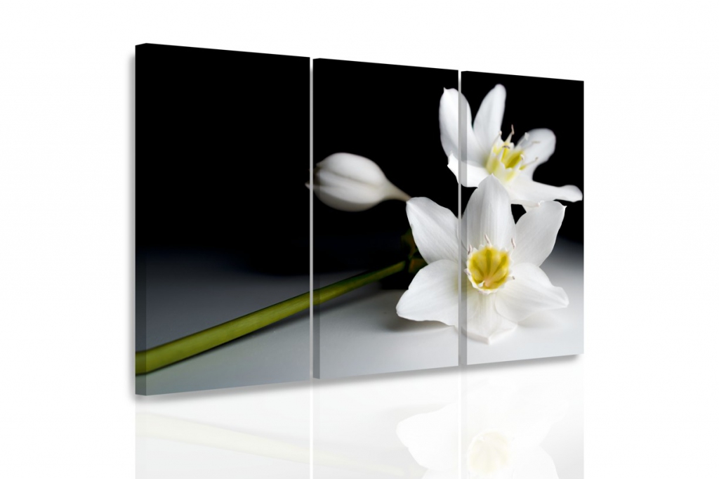 Vícedílný obraz - Orchidej ve tmě Velikost: 120x80 cm