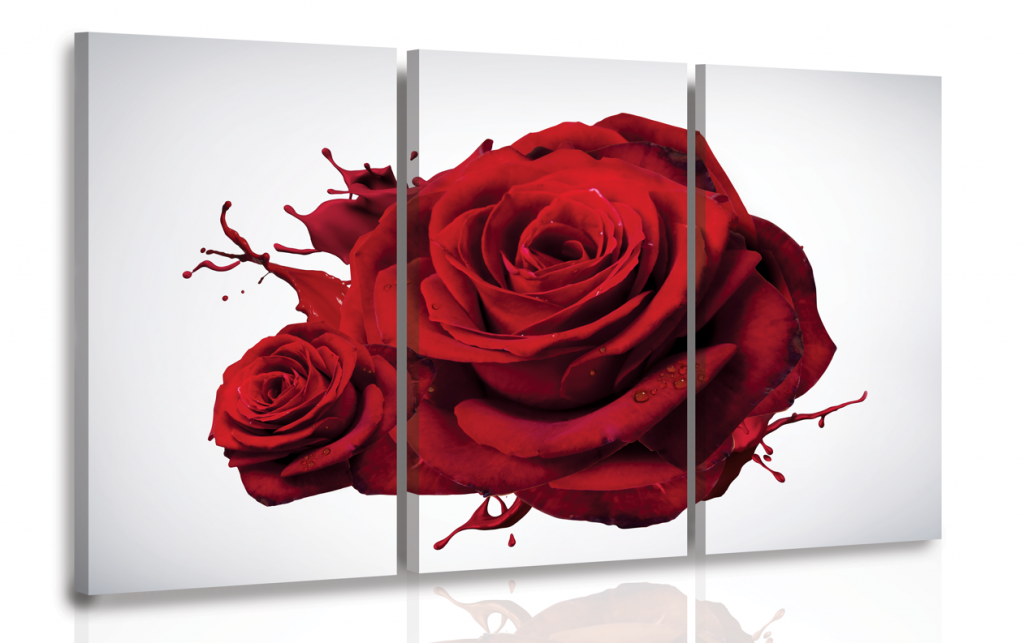 Vícedílný obraz - Růže Velikost: 90x60 cm
