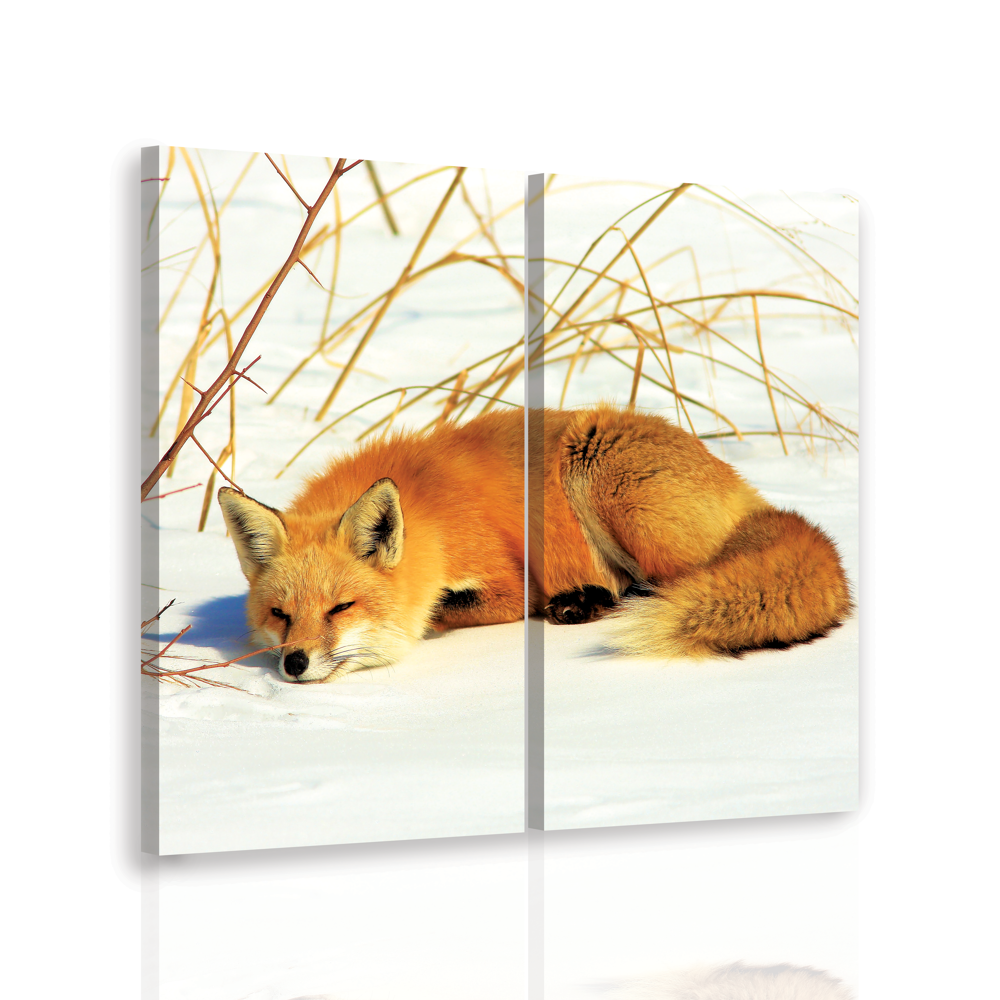 Vícedílný obraz - Spící liška Velikost: 60x60 cm