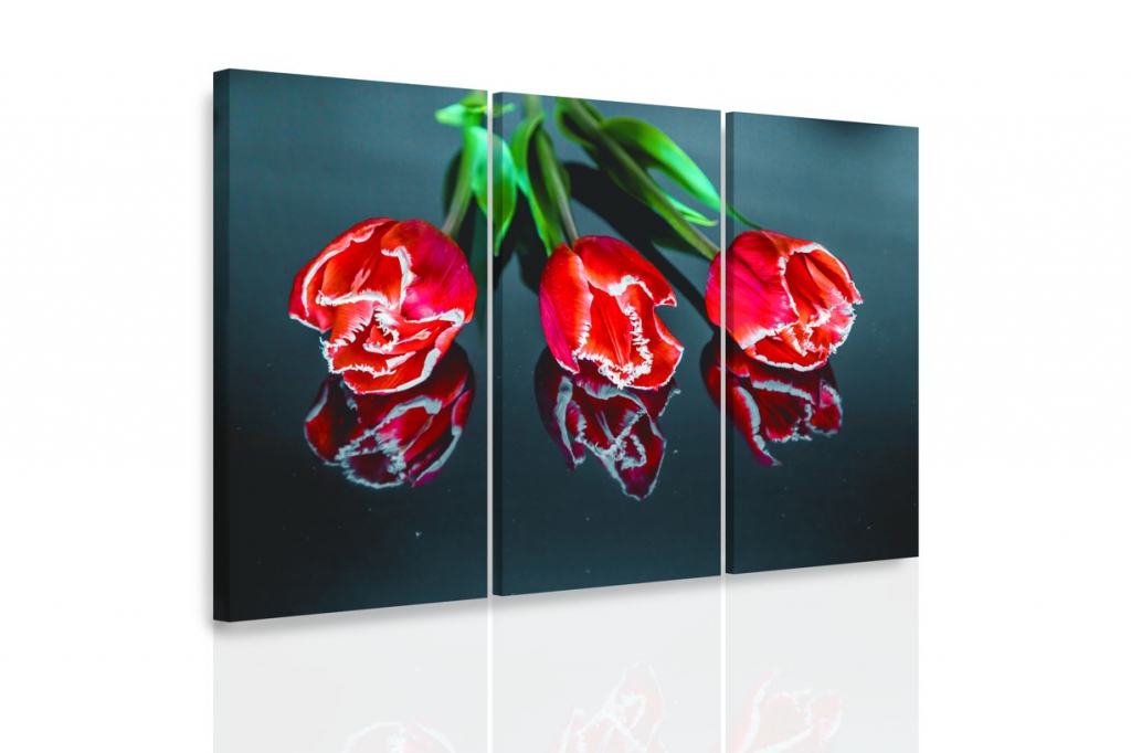 Vícedílný obraz - Tři tulipány Velikost (šířka x výška): 90x60 cm