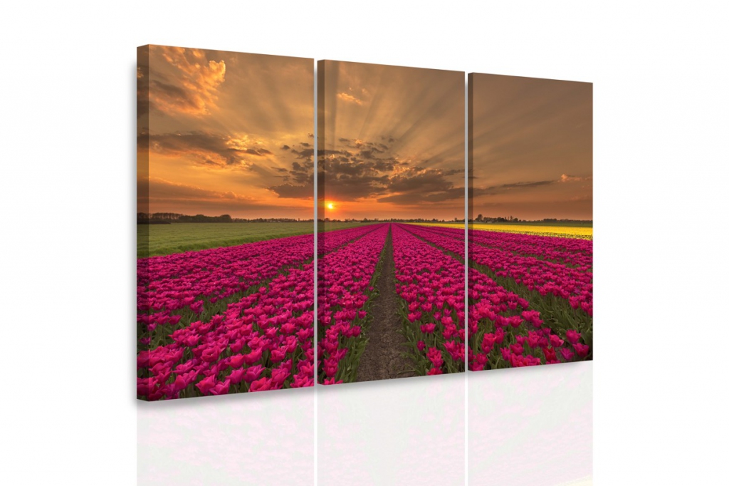 Vícedílný obraz - Záplava tulipánů Velikost (šířka x výška): 120x80 cm