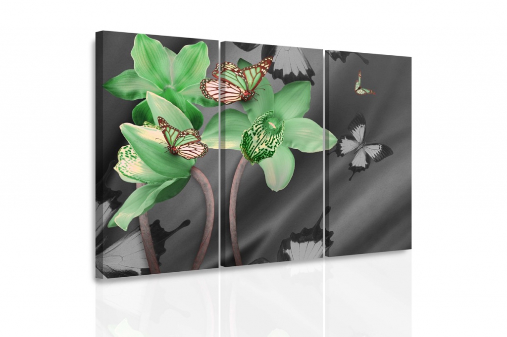 Vícedílný obraz - Zelená orchidej a motýli Velikost (šířka x výška): 90x60 cm