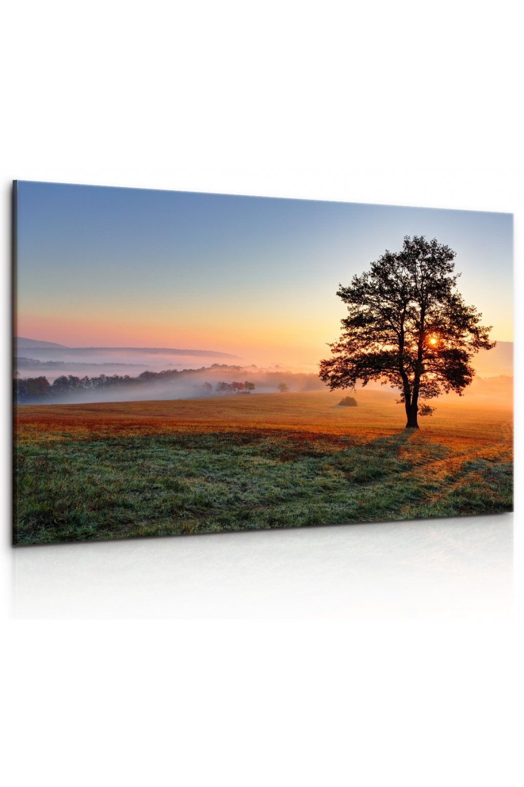 Obraz - ranní jinovatka Velikost: 150x100 cm