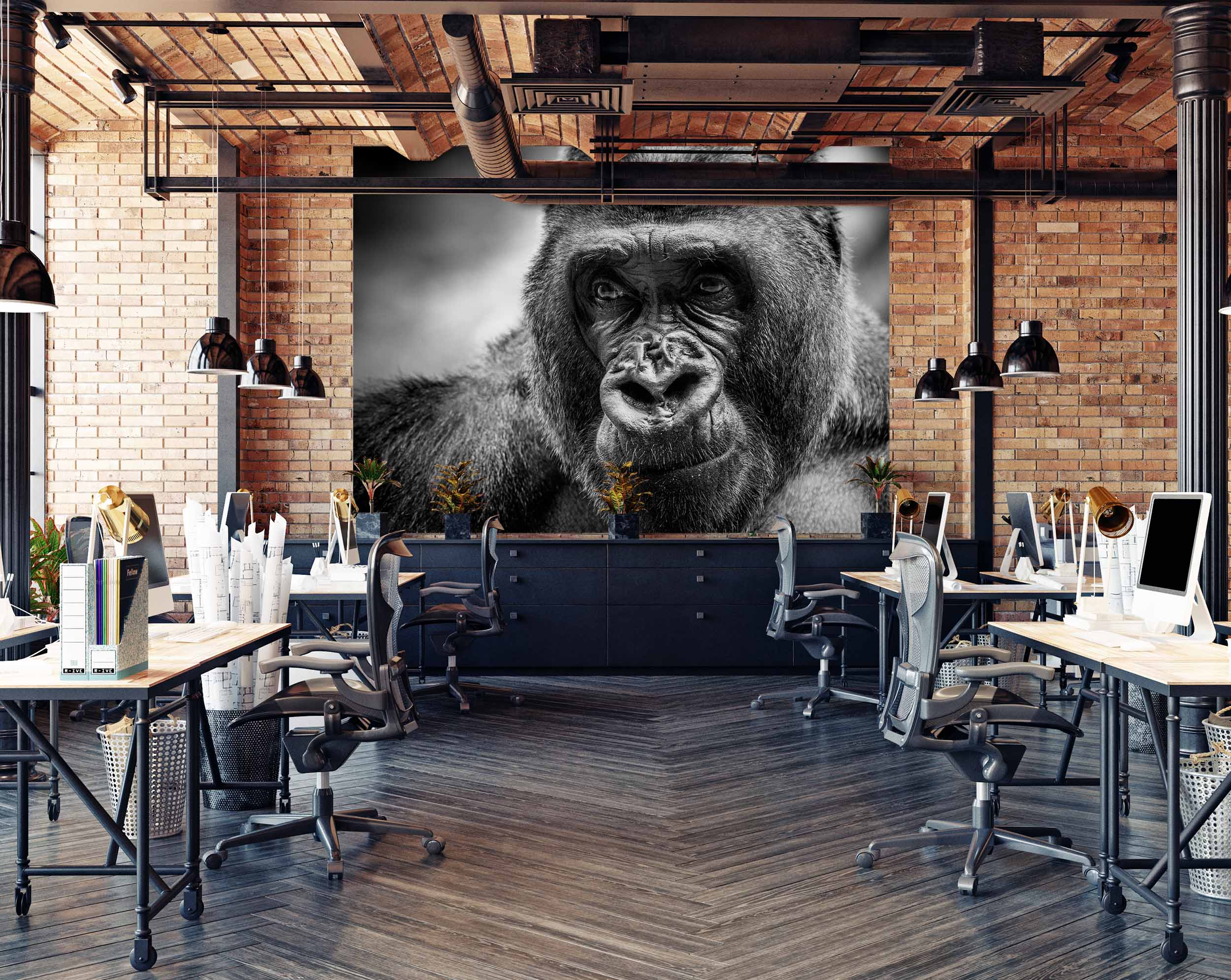 Tapeta Černobílá gorila Vel (šířka x výška): 360 x 260 cm