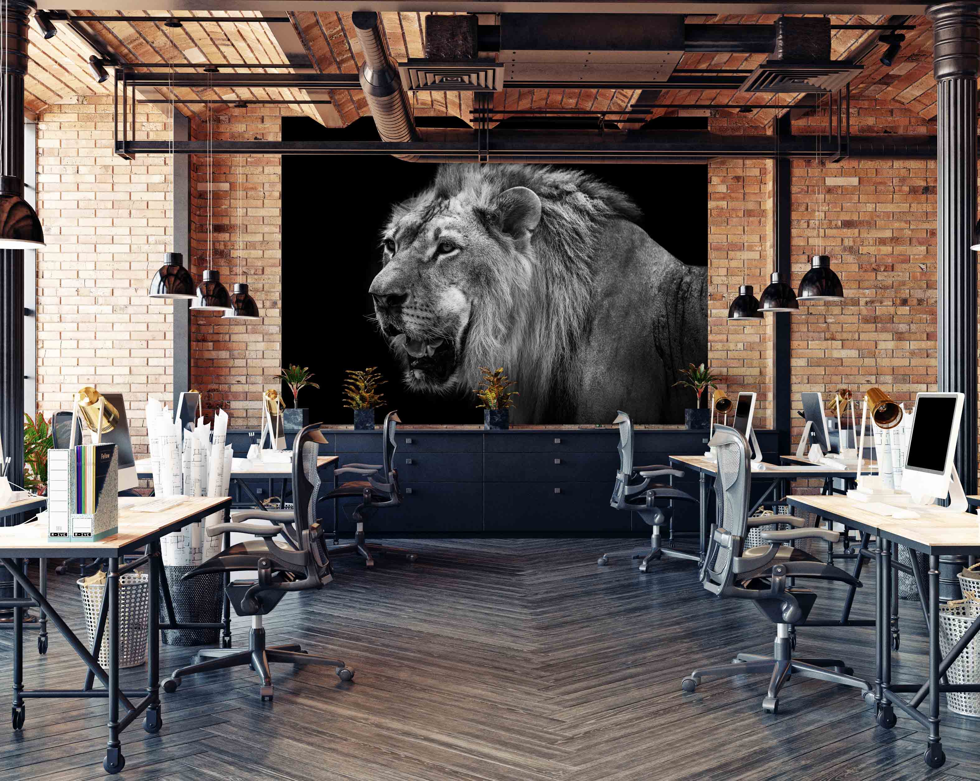 Tapeta Černobílý lev Vel (šířka x výška): 360 x 260 cm
