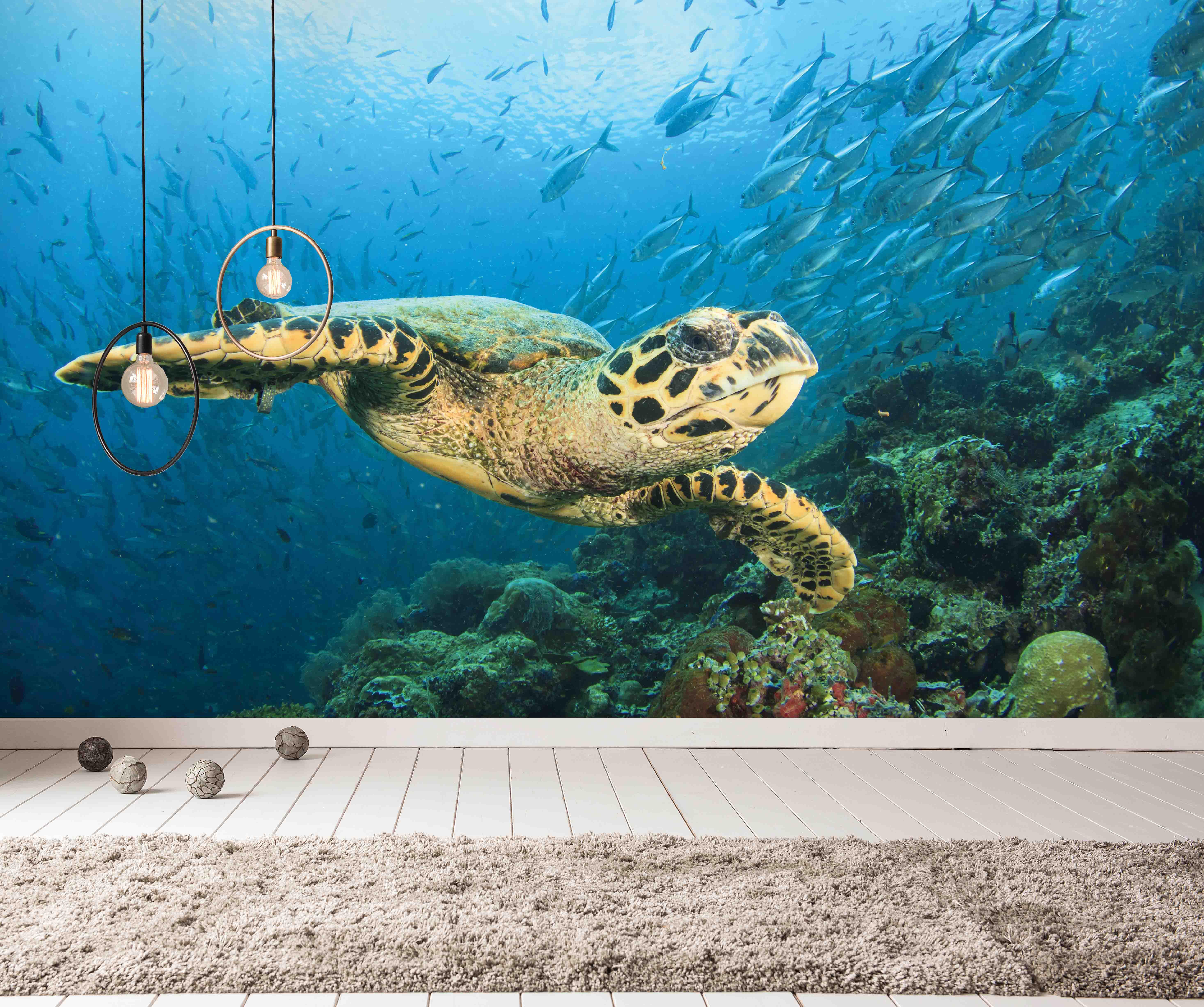 Tapeta mořská želva Vel (šířka x výška): 144 x 105 cm