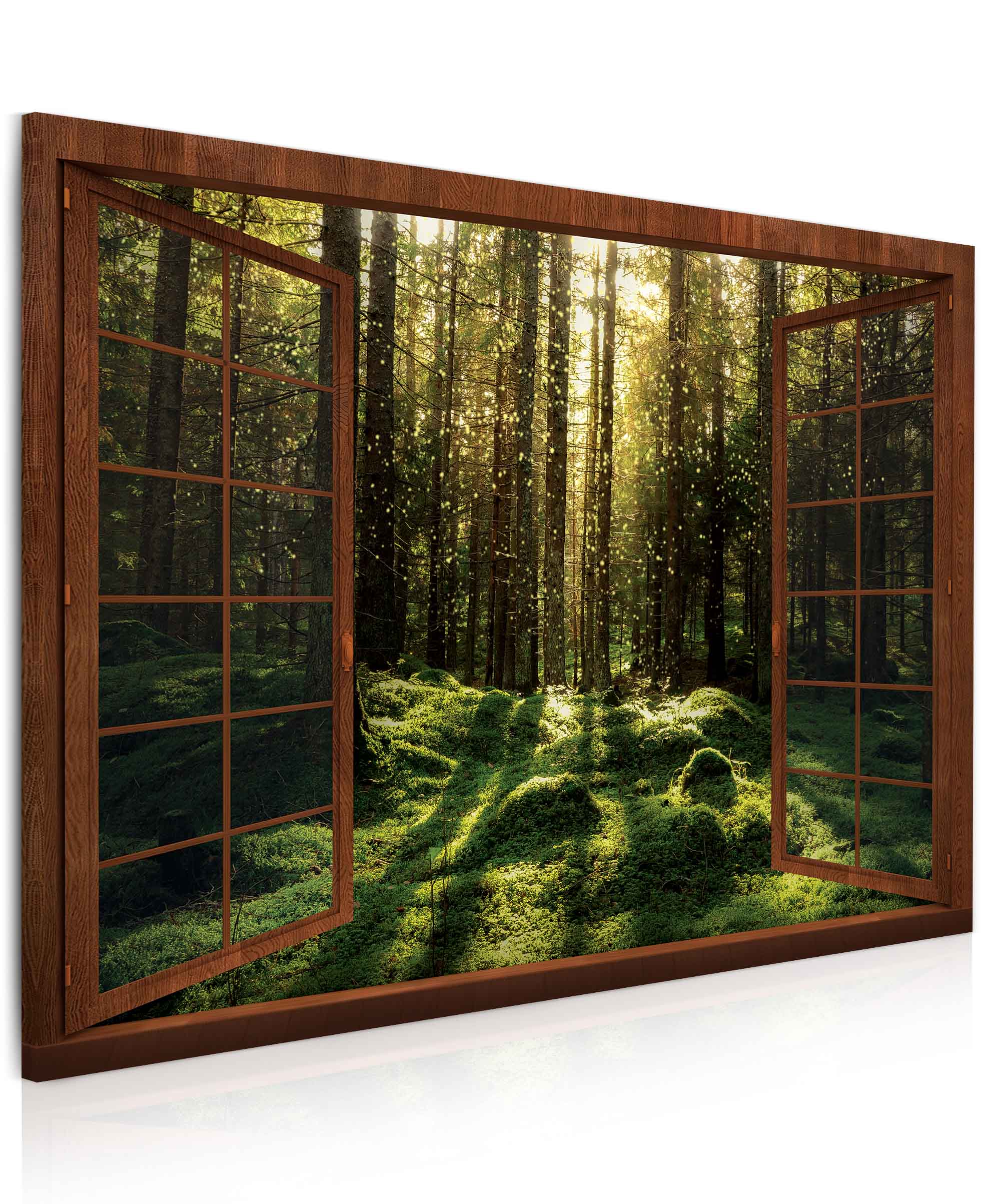 Obraz Kouzelný mechový les Velikost: 120x80 cm