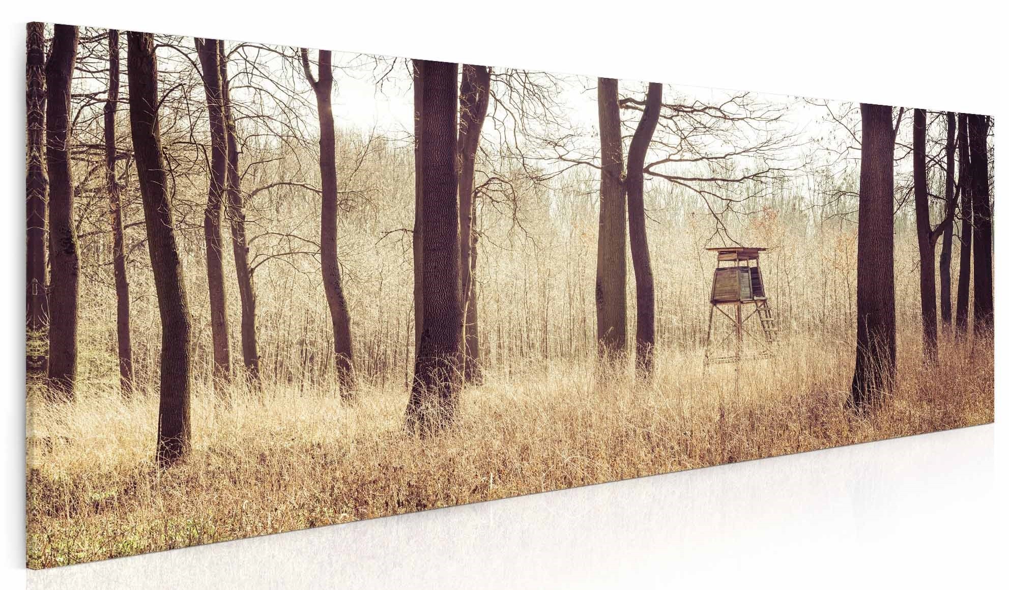 Obraz Posed v lese Velikost (šířka x výška): 130x60 cm