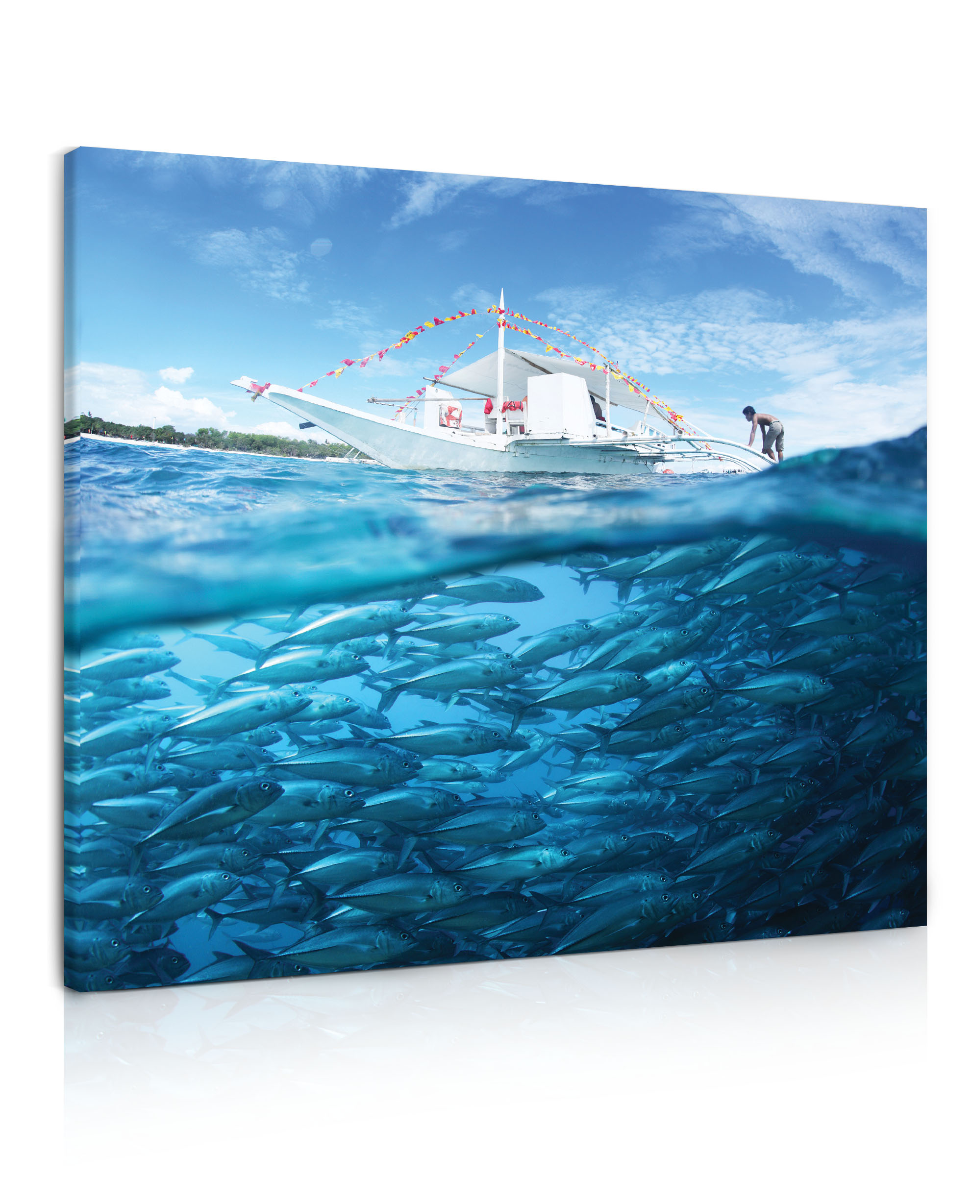 Obraz Hejno ryb Velikost (šířka x výška): 50x50 cm