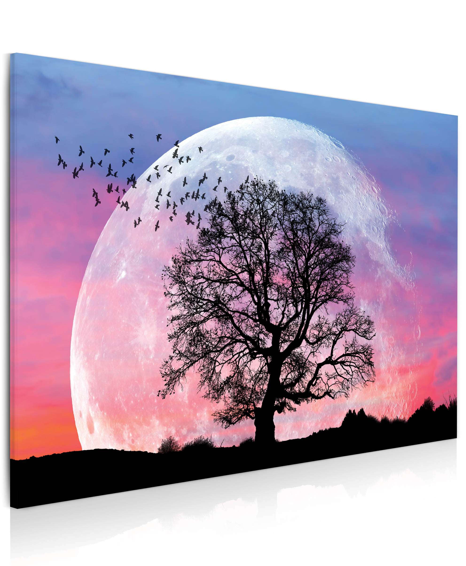 Obraz Měsíc a strom Velikost (šířka x výška): 150x100 cm