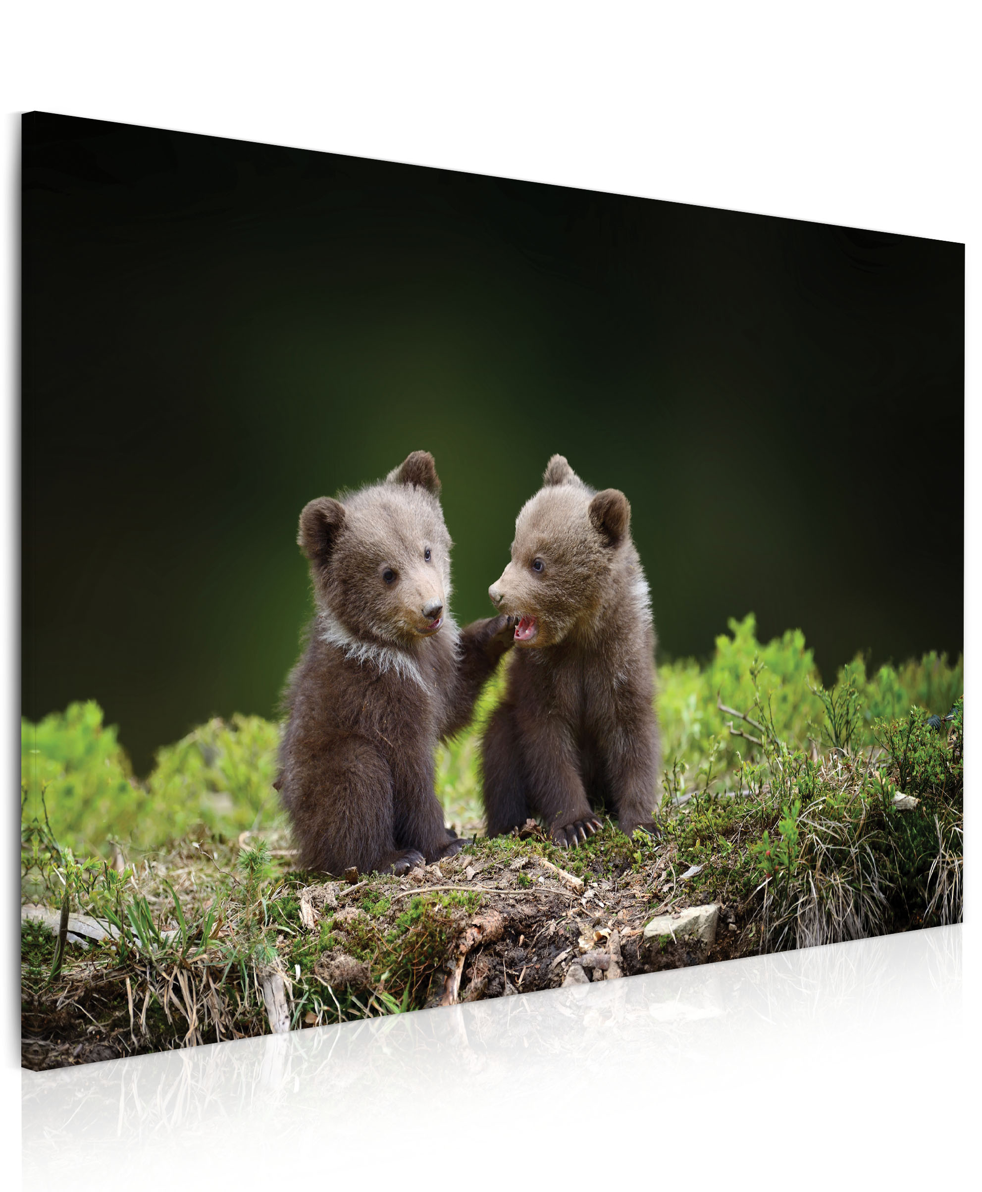 Obraz medvíďata v lese Velikost (šířka x výška): 60x40 cm