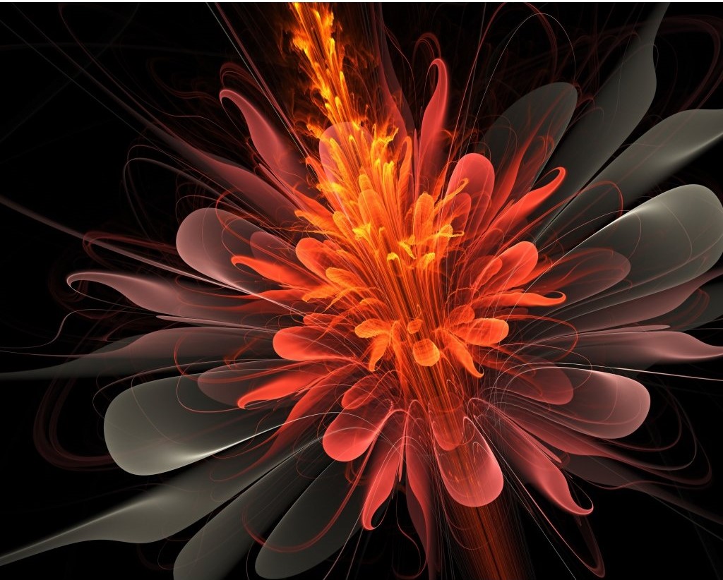 Obraz Oranžový květ Velikost (šířka x výška): 150x100 cm