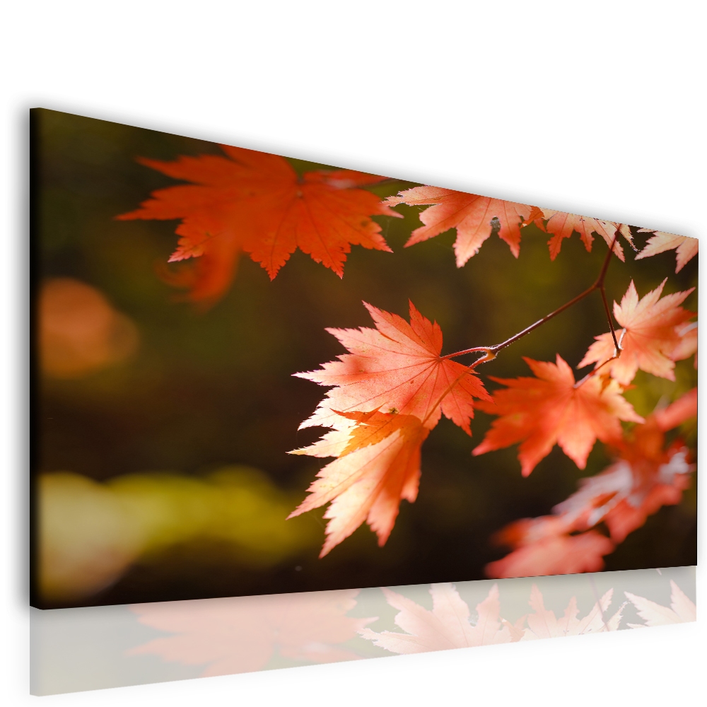 Kouzlo podzimního listu Velikost: 120x80 cm