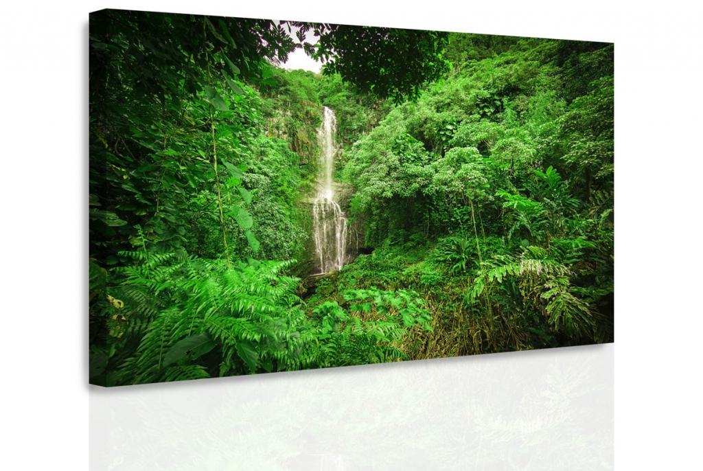 Obraz - Lesní vodopád Velikost: 120x80 cm
