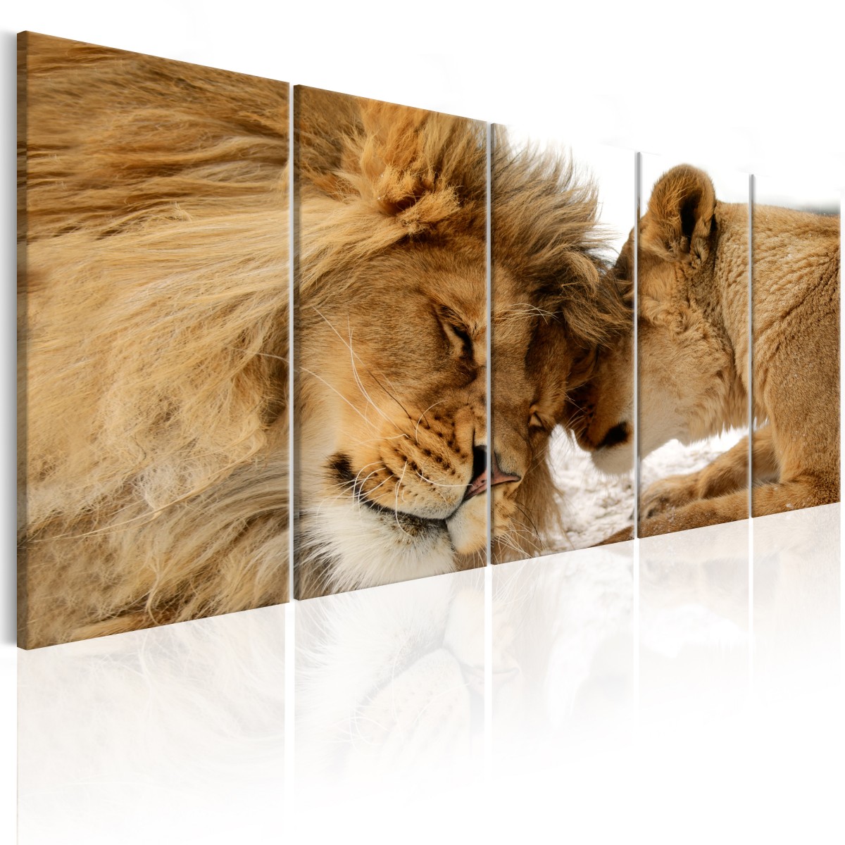 Vícedílné obrazy - zvířecí láska Velikost: 150x60 cm