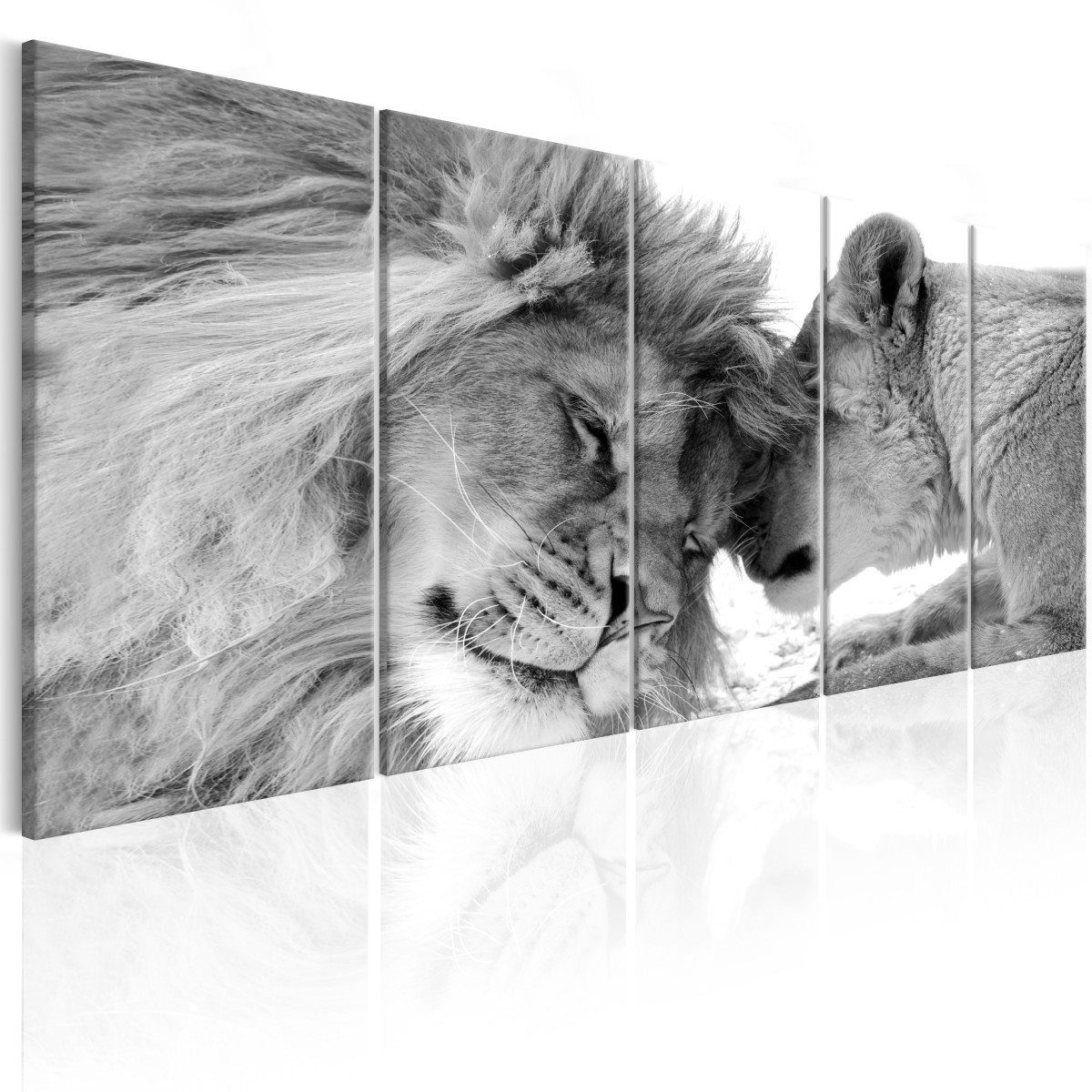 Vícedílný obraz - lví láska Velikost: 150x60 cm