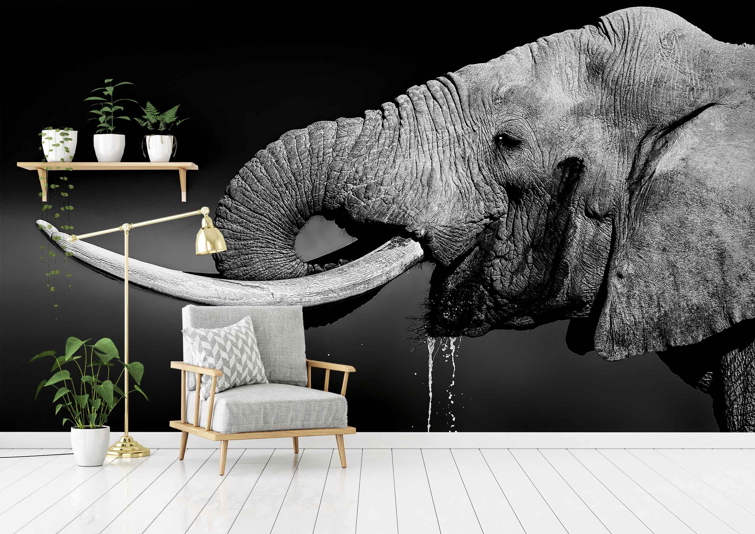 Tapeta Pijící slon Vel (šířka x výška): 288 x 200 cm