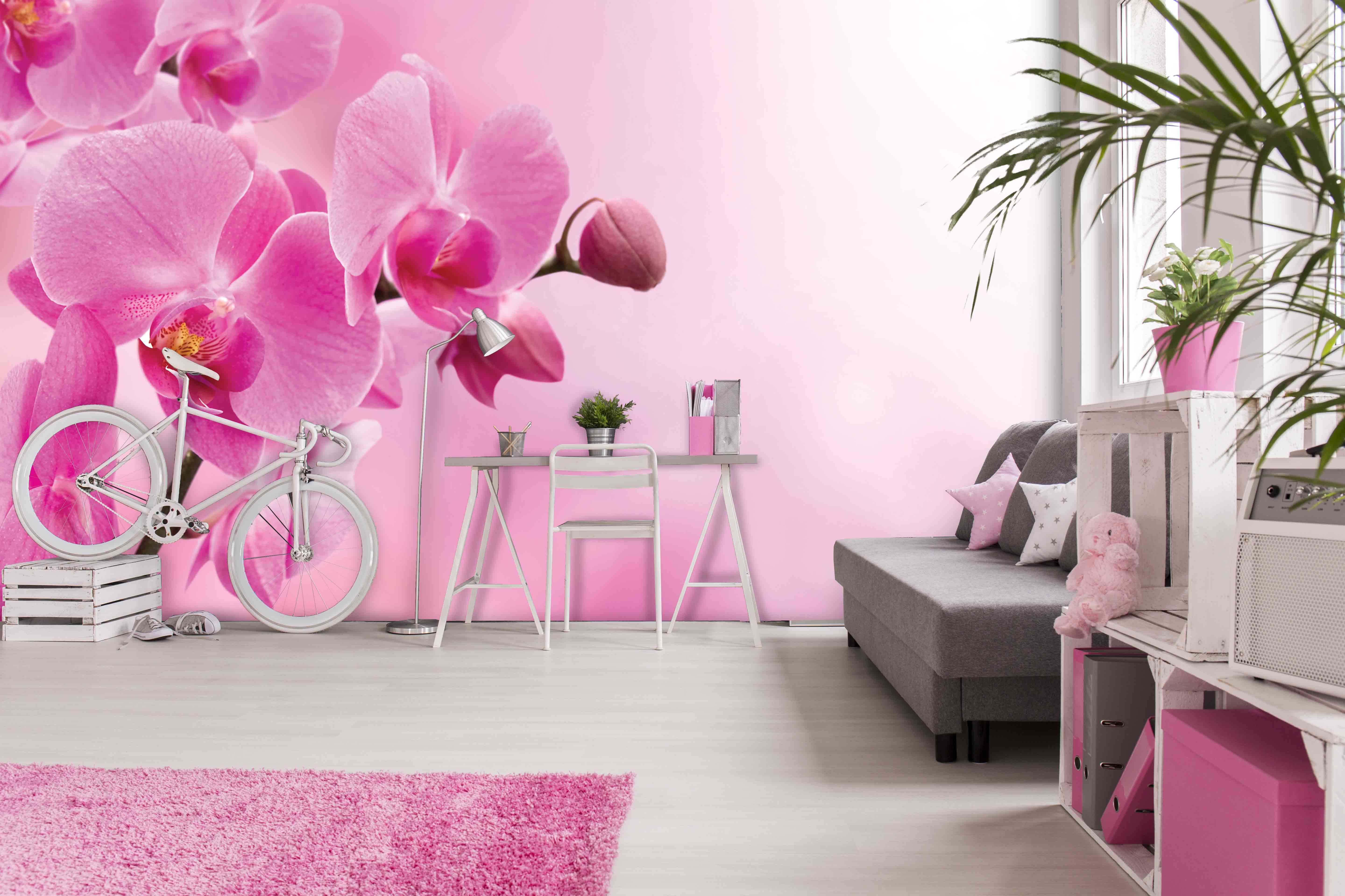 Tapeta Orchidej růžová Vel (šířka x výška): 144 x 105 cm