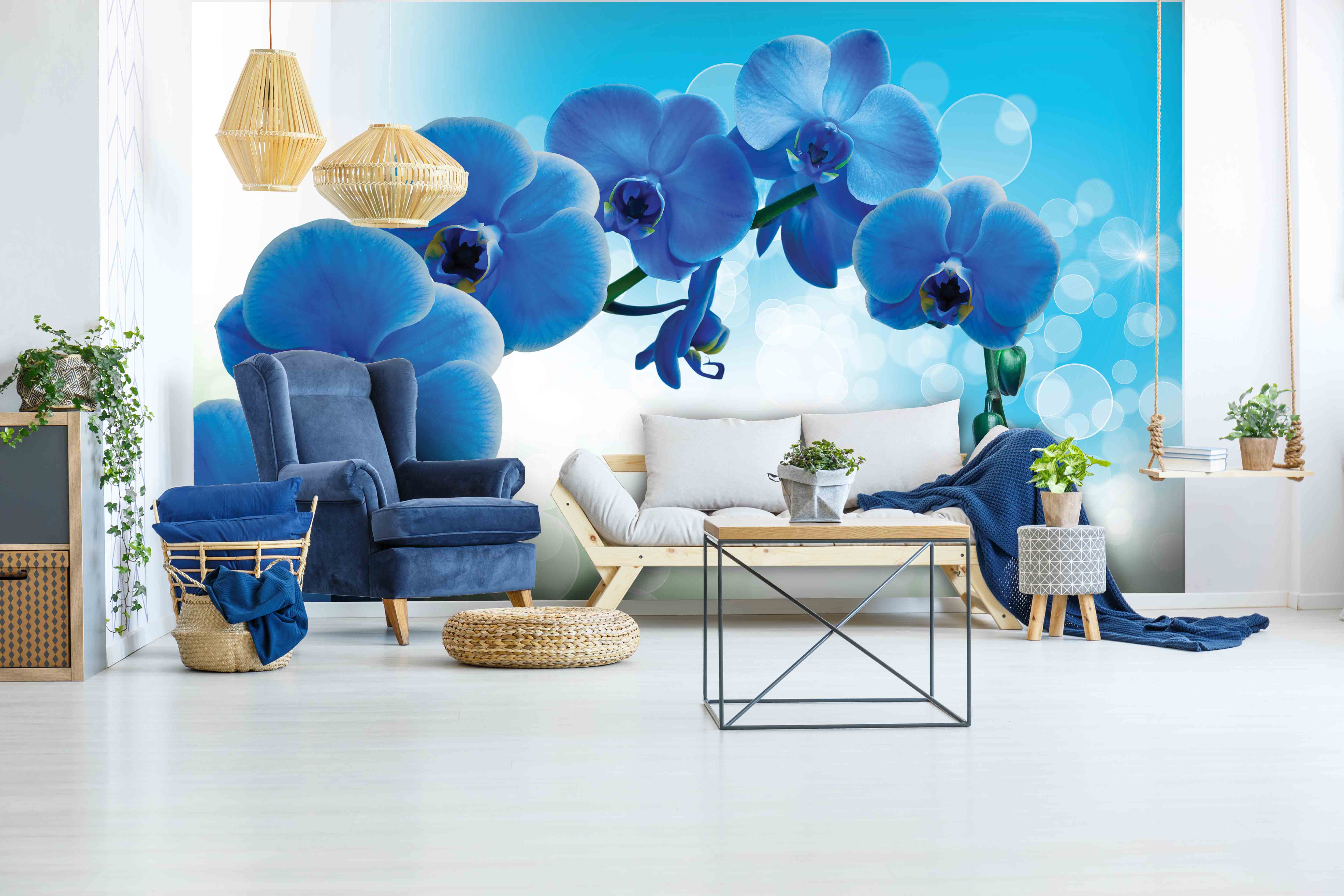 Tapeta Orchidej modrá Vel (šířka x výška): 144 x 105 cm