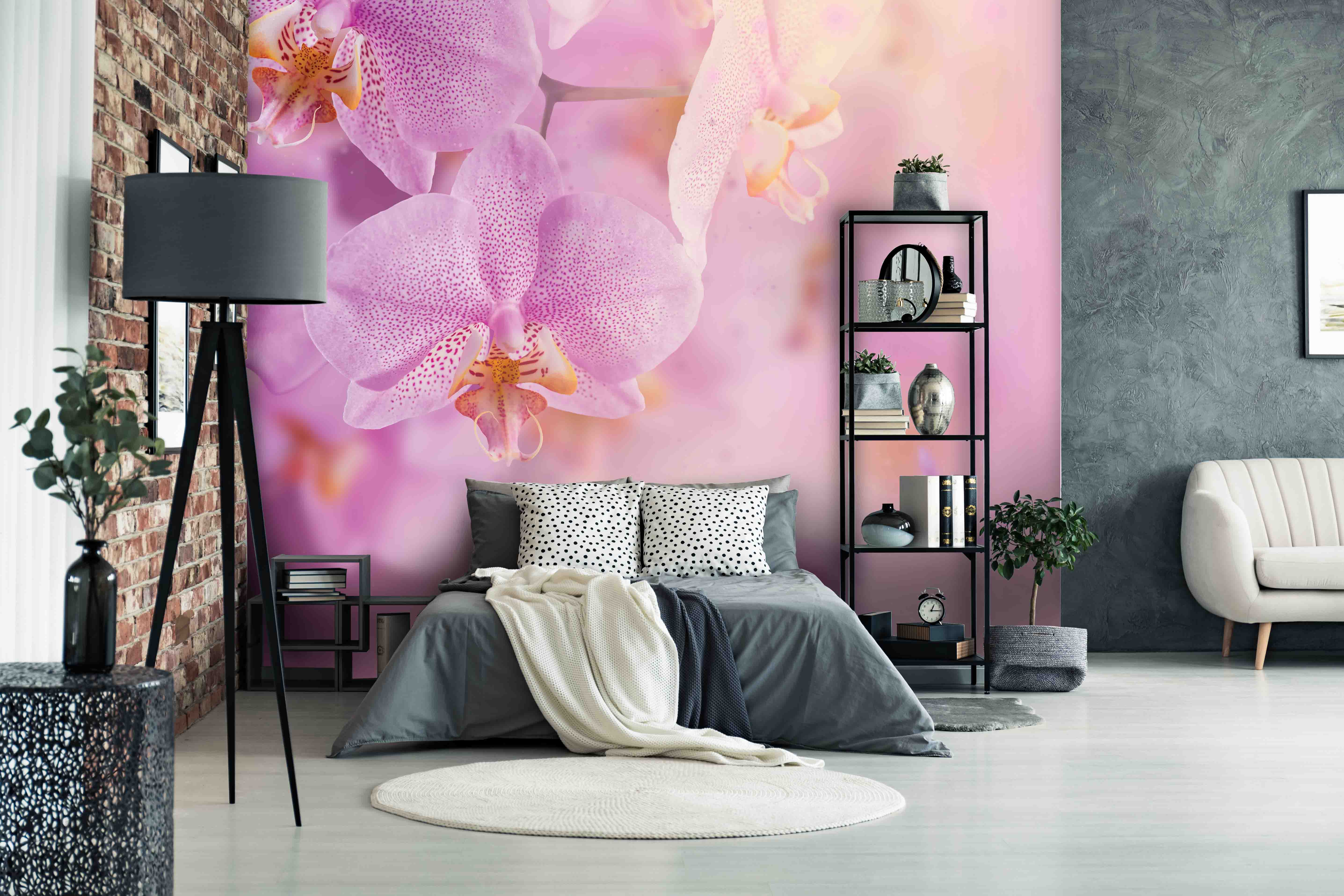 Tapeta Orchidej něžná Vel (šířka x výška): 144 x 105 cm