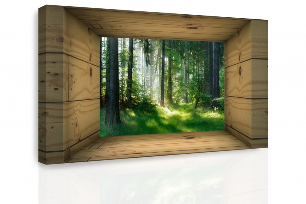 Obraz - Okno do lesa Velikost: 150x100 cm