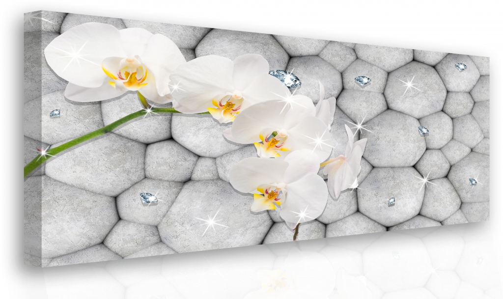 Obraz - orchidej s diamanty Velikost: 150x100 cm