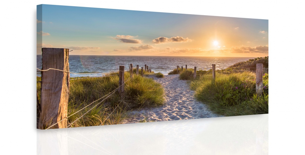 Obraz - Pěšinka na pláži Velikost: 80x40 cm