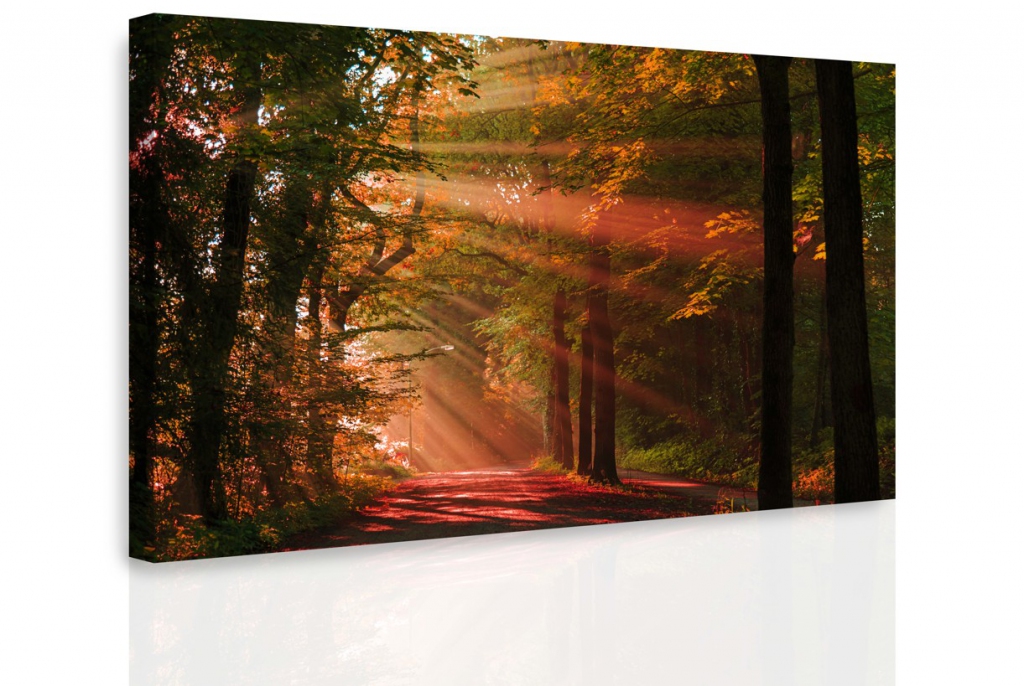 Obraz - Podzimní les Velikost: 120x80 cm