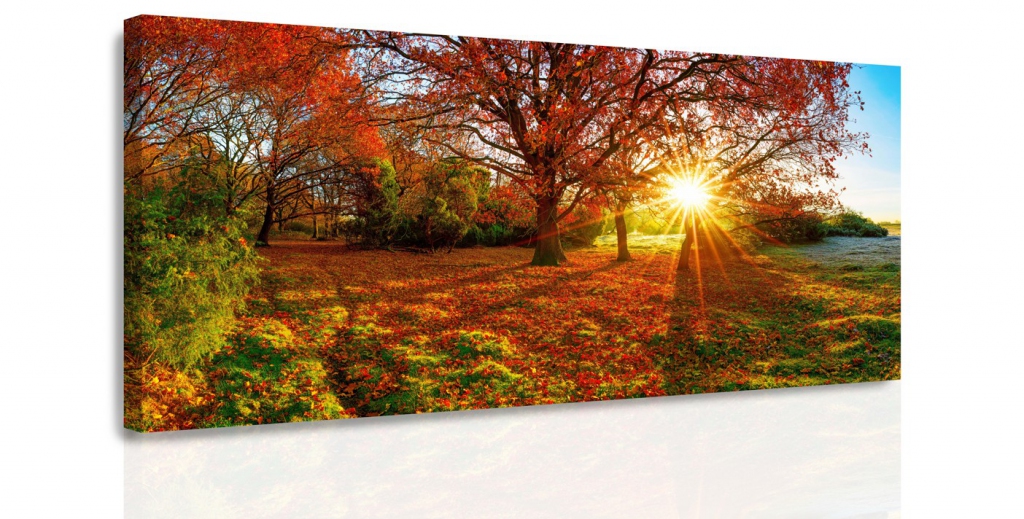 Obraz - Podzimní slunce Velikost: 80x40 cm