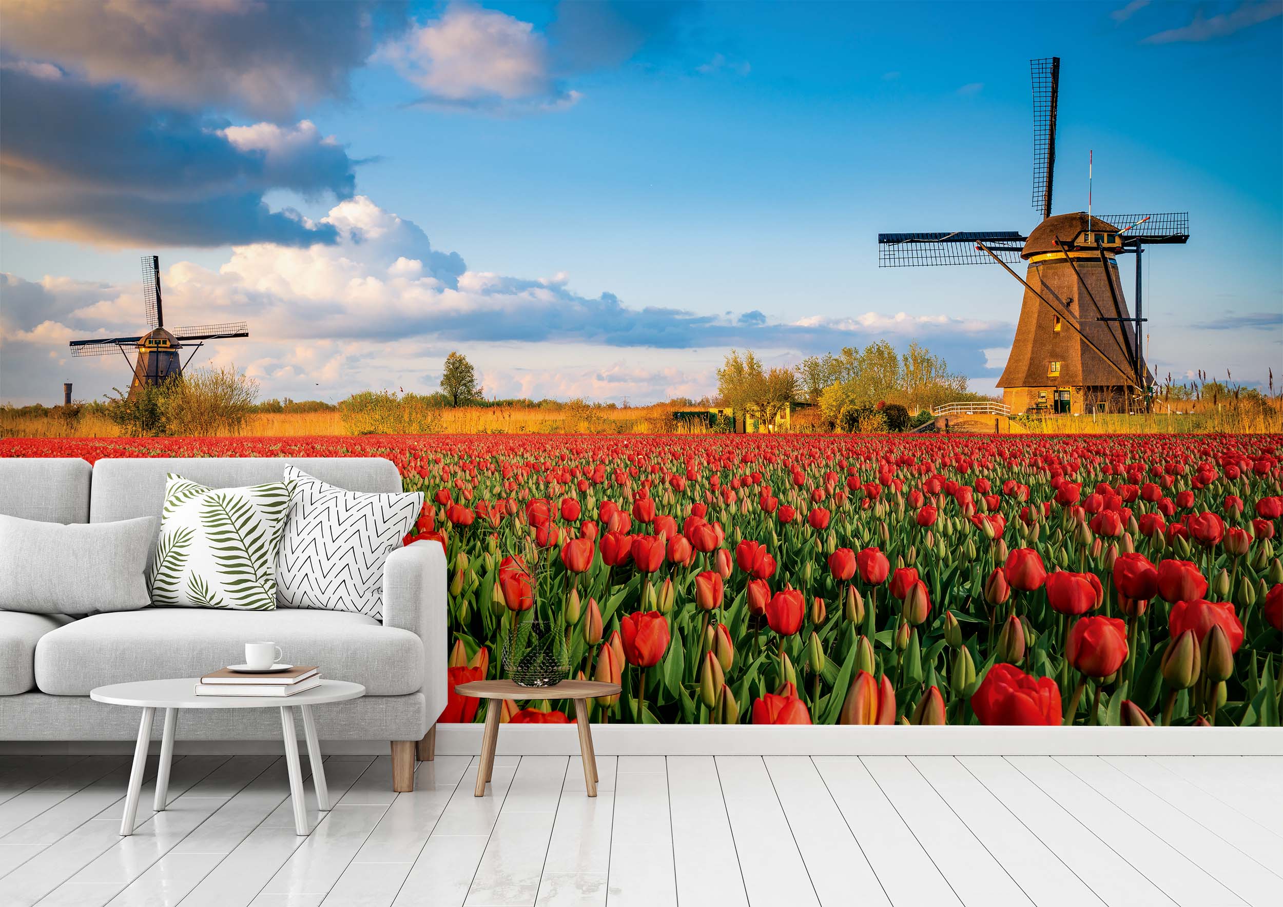 Tapeta Větrné mlýny s tulipány Vel (šířka x výška): 144 x 105 cm