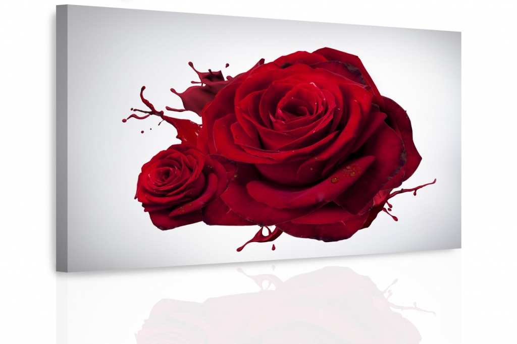 Obraz - Růže Velikost: 90x60 cm