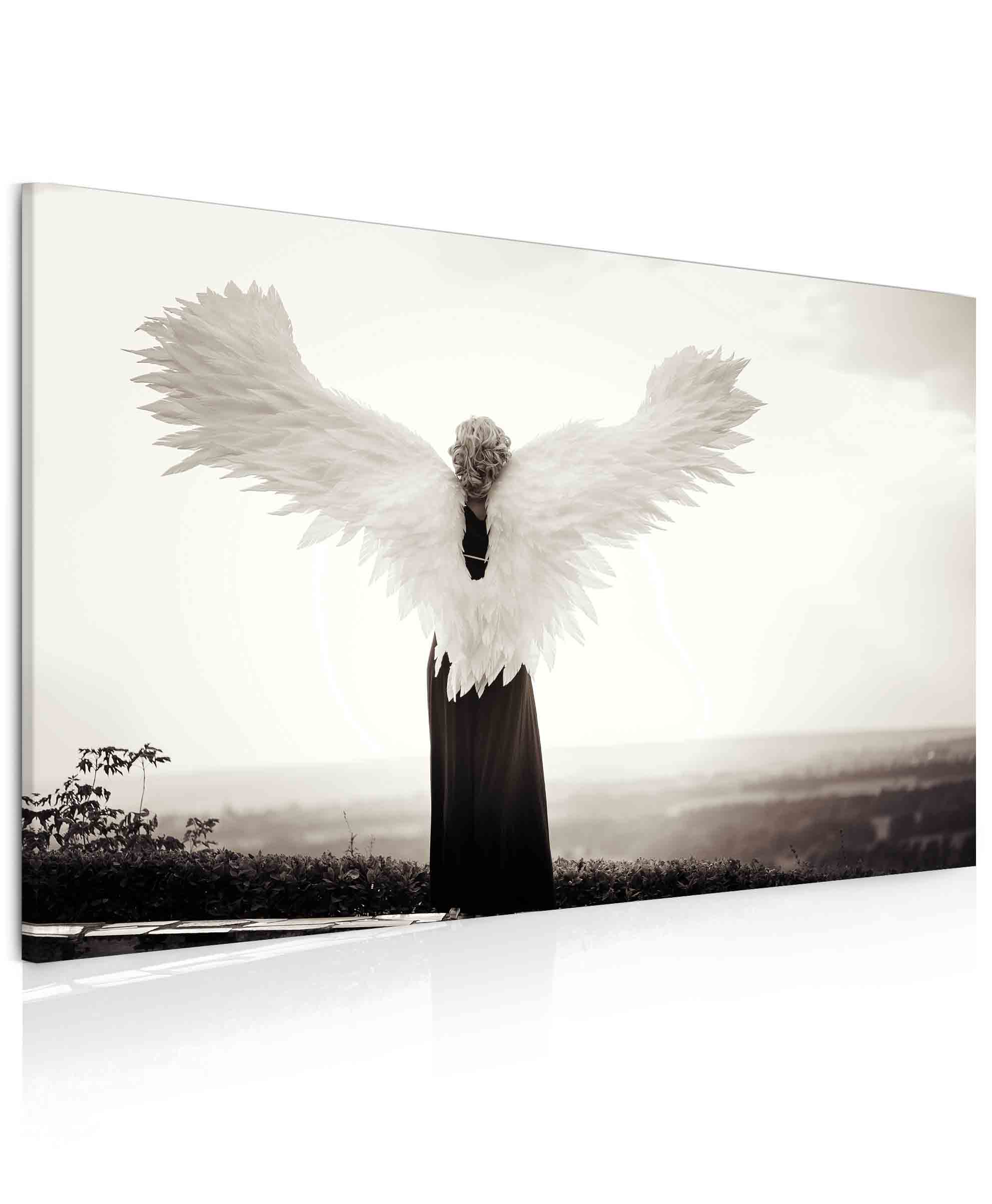 Obraz anděl Velikost: 60x40 cm