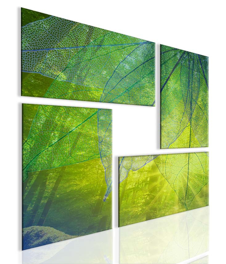 Obraz atypický obraz les Velikost: 80x80 cm